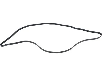 Para Ford Bronco 1993-1996 Multi Rib Belt transmisión principal API 49181CMCV 1995 1994 Foto 1 de 2