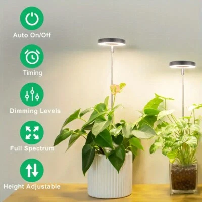 Plant Grow Light for Indoor Plant Desk LED Grow Light Auto Timer with 3/9/12h - Image 1 of 4
