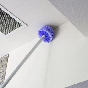 Swimming Pool and Spa Cobweb Remover Cleaning Brush - Picture 1 of 12
