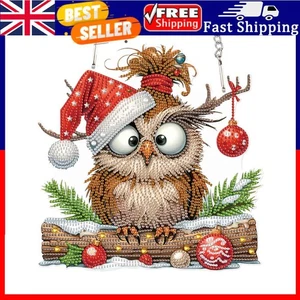 Acrylic Special Shape Christmas Owl DIY Diamond Painting Art Pendant Kit . - Picture 1 of 5