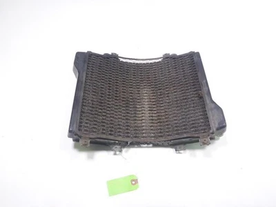 Защита экрана решетки радиатора 96 Kawasaki Ninja ZX11 D - Изображение 1 из 4