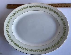 T&V Limoges Platte, 16" oval, mit Bambusmuster TRV218 - Bild 1 von 6