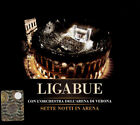 Luciano Ligabue avec orchestre de théâtre arena de Vérone - sept nuits dans l'arène 