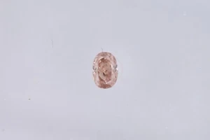 💎 Fancy Diamant Oval mod. - Int. Brown 0.05 ct. - VS1 - IGI Zertifikat 💎 - Bild 1 von 3