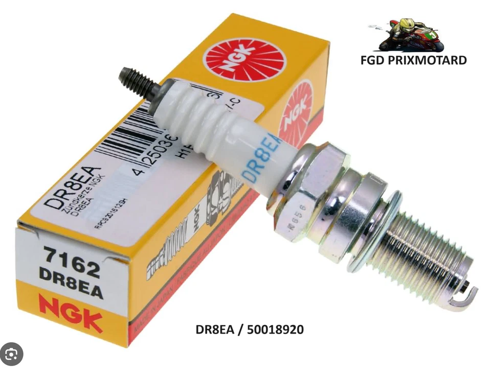 BOUGIE ALLUMAGE NGK DR8EA NEUVE - Photo 1/1