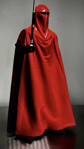 HOT TOYS STAR WARS RETURN OF THE JEDI ROYAL GUARD MMS469 1/6 US MINT Cover