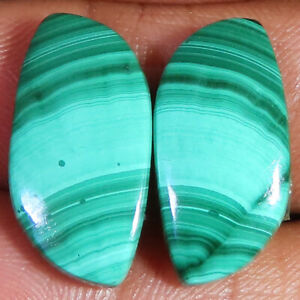 21.75 CT Natural Green Malachite Pair Cabochon 10x21x3 mm Loose Gemstone R232-52