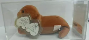 AUTHENTIFIZIERT TY TUCK THE WALRUS BEANIE BABY - ETIKETT ODDITIY - BITTE LESEN - Bild 1 von 5