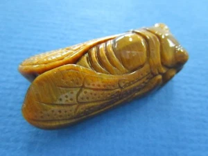 Chinese Hand Carved Tiger's Eye Gemstone Cicada Pendant Amulet - Picture 1 of 12