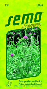 Mariendistel Samen - Bild 1 von 2