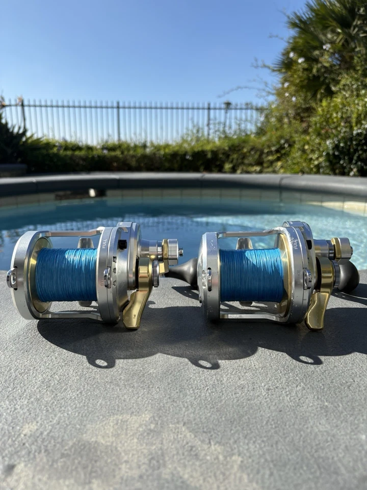 Shimano Talica 25ii - 2 velocidades Foto 1 de 4