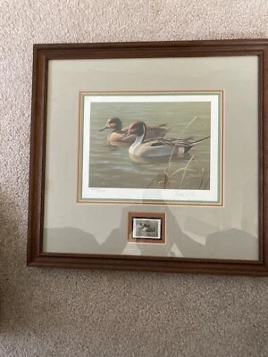 1987 Arizona Waterfowl Duck Stamp Print First of State Lim Edit Hand Signed  - Image 1 of 4