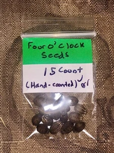 Four O’clock Seeds 15 Count/Organic - Picture 1 of 1
