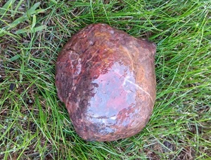 1,12 lbs Lake Superior Jaspis  - Bild 1 von 8