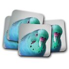4 Set - Beautiful Blue Parrot Coaster - Pet Bird Cute Budgie Green Gift #14566