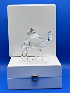 RARE Retired Swarovski Crystal Camel 247683 Mint Boxed African Wildlife - Picture 1 of 5