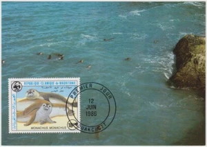 Mauritania Maxi 1986, foca monje mediterránea (Monachus monachus), como nueva - Imagen 1 de 1