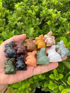 5PCS Natural Mixed Rabbit skull Carved Quartz Reiki Hallowmas Crystal gift - Picture 1 of 7