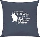 Sofa Pillow, Die Besten Degupapas Are In February Born Degu Pet, Kashif