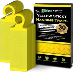 Yellow Sticky Hanging Traps - 30 Pack for Flying Insect Catching - Picture 1 of 12