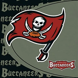 Tampa Bay Buccaneers NFL Lunch Napkins 16 per pack FREE SHip - NEW - Picture 1 of 4