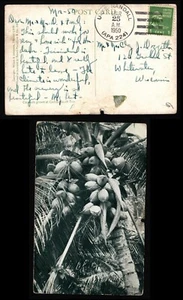 Postal OPC 1950 USS Randell APA 224 a Wisconsin Coconut Tree 43782 - Imagen 1 de 1