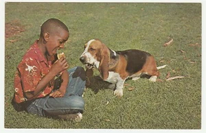 Vintage Postcard Basset Hound Watches Young Boy Eat Hot Dog Unused - Picture 1 of 2