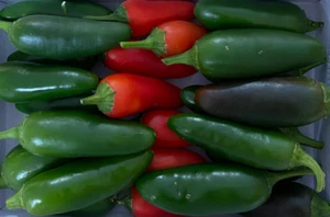 75ct M Jalapeno Seeds - Hot Jalapeno! - Free Shipping - Picture 1 of 6