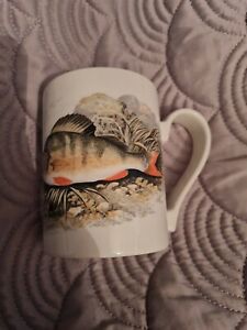 RARE portmeirion the Compleat Angler British Fishes M J Lydon 1879 Perch Mug Vgc