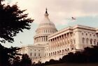 Vintage 80s Color Photo Old 1980s United States Capitol Low Angle Trees Flag