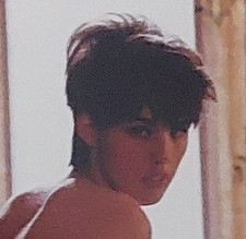 Playboy 50th Anniversary Collector Cards Set DIANNE CHANDLER AUTOGRAPH CARD