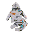 2Pcs Kids Toddler Boys Dinosaur Hooded Tops Pants Set Tracksuit Outfits Clothes