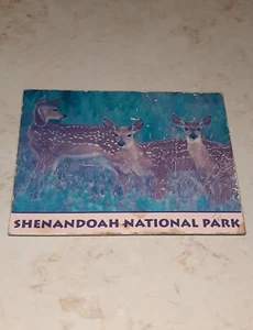 Vintage Souvenir Refrigerator Magnet Shenandoah National Park - Picture 1 of 3