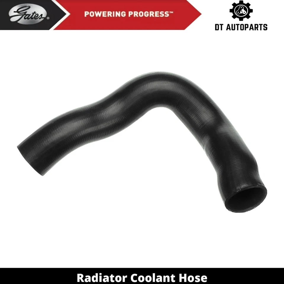 Manguera de refrigerante de radiador puertas inferiores para Ford F-150 1980-1994 1981 1982 1983 1984 Foto 1 de 4