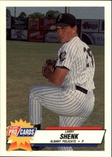 1993 Albany Polecats Fleer/ProCards #2026 Larry Shenk