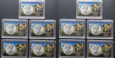 Lote de 10 American Silver Eagle Estuche Escarchado Snaplock Portamonedas Montaña 2X3 Foto 1 de 4