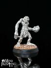 Warhammer Fantasy Crypt Ghoul Ghouls Untote Undead Vampire Counts Metal CQ29