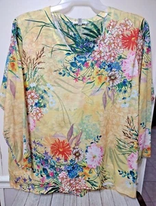 Concepts Floral V-Neck Sublimation Long Sleeve Pullover Top Womens 22 XXXL - Picture 1 of 2