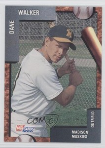 1992 Fleer ProCards Minor League Dane Walker #1251