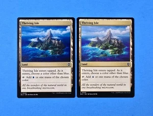 2x Thriving Isle Commander Bloomburrow 2024 BLC Mtg Magic Card Land Mana 349 - Picture 1 of 2