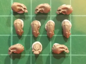 Warhammer 40K - 10 Tyranid skulls Base decor - 40k bits - Picture 1 of 1