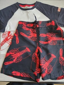 NWT Boys Gymboree Summer  Salt Wash Lobster Swim Short and Shirt SET 7 Years - Picture 1 of 6