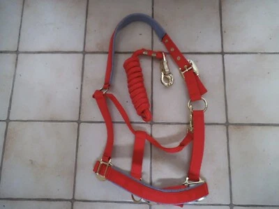 Halfter Set Cob rot/hellgrau - Bild 1 von 2