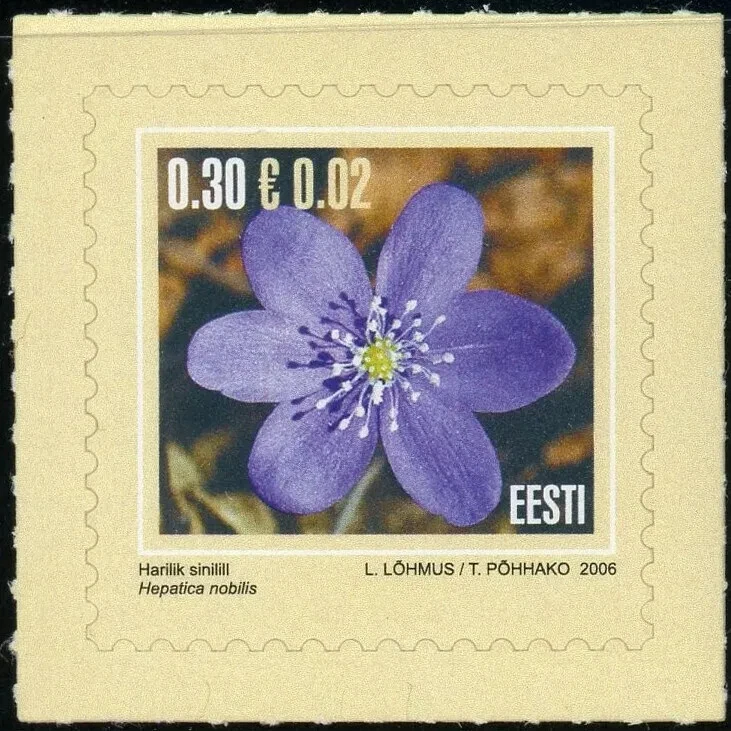 ESTONIA - 2006 Flower: Liverwort self-adhesive #547 - VF MNH Foto 1 de 1