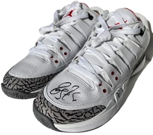 ROGER FEDERER SIGNED NIKE AIR JORDAN ZOOM VAPOR RF AJ3 TENNIS SHOE CEMENT JSA ! - Picture 1 of 12