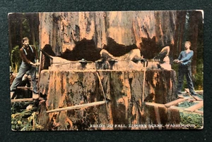 Vintage Postcard Ready to Fall Lumber Lumberjack Scene Washington - Picture 1 of 2