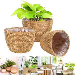  Woven Rattan Natural Plant Basket Planter Flower Pots Flowerpot Home Decoration