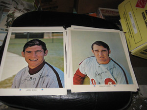 1971 ARCO Philadephia Phillies Set of 12 Team 8X10 Photos