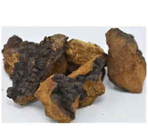 Northern Minnesota CHAGA chunks - PREMIUM MUSHROOM TEA ORGANIC - 8 oz - Picture 1 of 2
