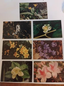 Lot Of 7 Old Floral Postcards Unposted - Picture 1 of 11